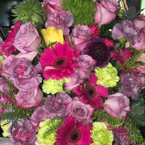 Meet your Posher, Bobbie